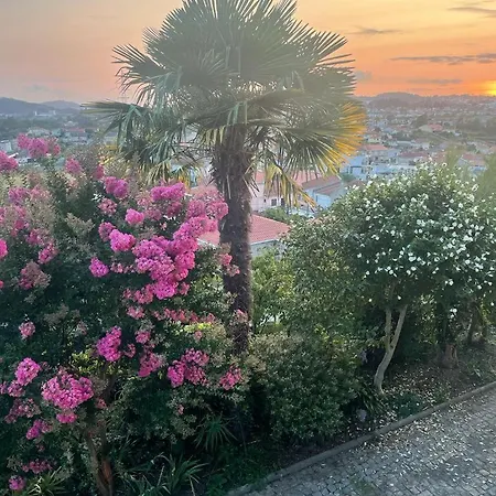 Porto Area, Poolside Sunsets Of Boa Vilarinho (Porto)