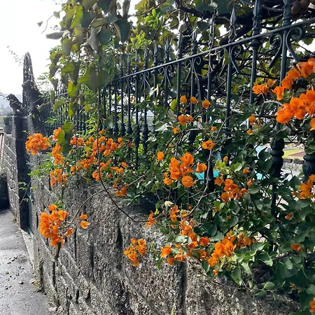 Porto Area, Poolside Sunsets Of Boa Vilarinho (Porto)