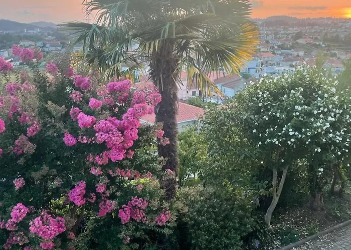 Porto Area, Poolside Sunsets Of Boa Vilarinho (Porto)