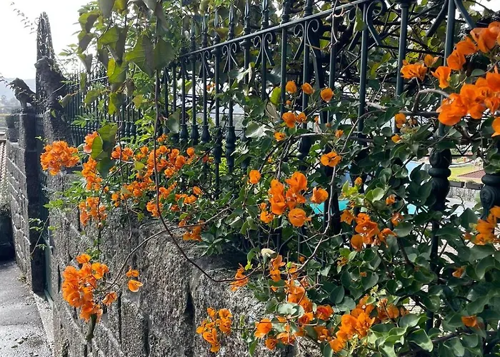 Porto Area, Poolside Sunsets Of Boa Vilarinho (Porto)